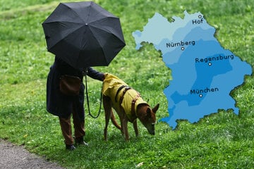 Sonne und Regen teilen sich das Wochenende – aber ungleichmäßig
