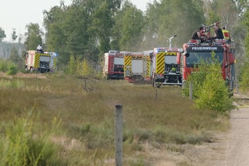 Feuer in der Gohrischheide: Erschwerte Bedingungen für Einsatzkräfte