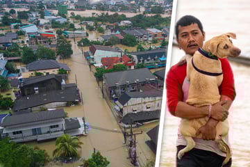 Flut-Drama in Thailand: Zahl der Toten steigt