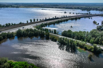 Entwarnung für Sachsen-Anhalt! Keine Alarmstufe für Hochwasser mehr