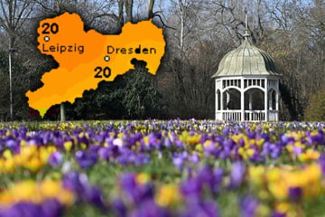 Der Frühling klopft an: Doch am Wochenende ziehen Wolken auf