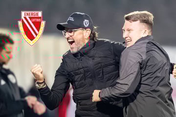 Wollitz spielt gegen Stuttgart Roulette - und Cottbus gewinnt den Jackpot