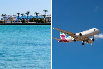 Eurowings: Nonstop ins Tauchparadies: Neue Direktverbindung lockt ab Hamburg