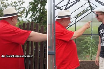 Leipzig: Kleingartensheriff kämpft gegen illegale Bauwerke: "Pech gehabt, mein Freund, abbauen das Ding"