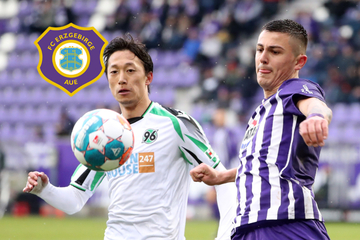 Le changement polonais s'est cassé! Jonjić reste au FC Erzgebirge Aue
