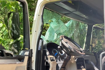 Auto schleudert Reh in Windschutzscheibe von Laster: Lkw-Fahrer schwer verletzt