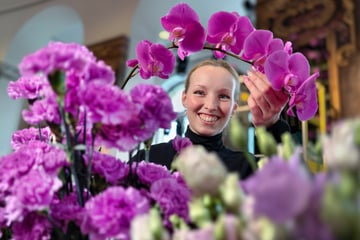 Chemnitz: Tausende Blumen für die Gala am Samstag: Hier erblüht der Chemnitzer Opernball
