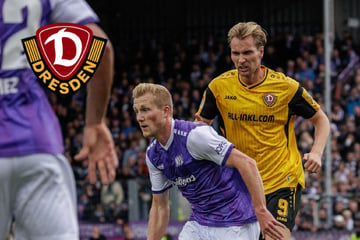 Dynamo-Dresden-Blog: Später Nackenschlag! SGD verpasst Sieg in Osnabrück