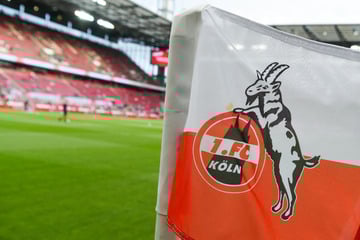 Trikot-Leak beim 1. FC Köln: Sieht das neue Heimtrikot etwa so aus?