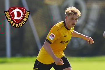 So will Luca Herrmann in Dynamos Startelf