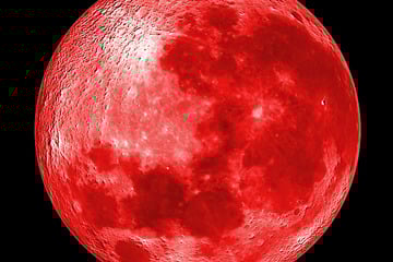 Today's horoscope: Free daily horoscope for Friday, November 21, 2025