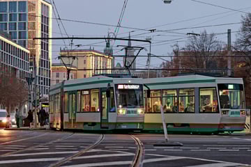 Ohne Stress ans Ziel: So fährt der ÖPNV in Magdeburg über die Feiertage