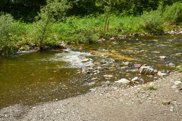 Sachsen gibt mehr als 400.000 Euro dazu: Lochbach soll renaturiert werden