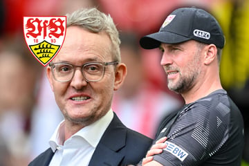 VfB-Boss adelt seinen Coach: Wehrle traut Sebastian Hoeneß "irgendwann" Bundestrainer zu