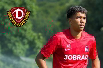 Dynamo-Dresden-Blog: Diese vier Stürmer sollen bei der SGD auf dem Zettel stehen