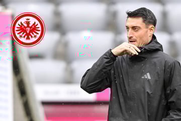 Eintracht-Coach vor Kracher-Duell gegen Freiburg: "Starten eine neue Liebe zusammen"