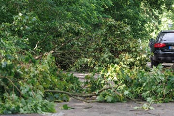 Berlin: Nach tödlichem Sturm in Berlin: Bezirk gibt Warnung heraus