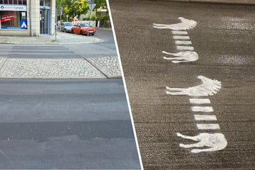 Dresden: Mini-Zebras auf Dresdner Asphalt aufgetaucht: Was steckt dahinter?
