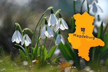 Bis 18 Grad: Kommt jetzt der Frühling nach Sachsen-Anhalt?