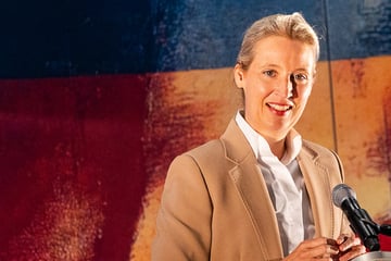Verwandtenaffäre: AfD-Chefin Weidel weist Vorwürfe als "haltlos und aufgebauscht" zurück