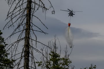 Waldbrand in Böhmischer Schweiz endlich unter Kontrolle