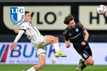 Alles oder nichts: Der FCM und der Kampf um den Klassenerhalt