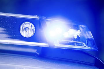 Verfolgungsjagd: Autofahrer rast auf Streife zu und überfährt Reh!