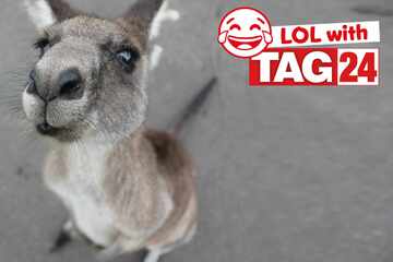 Joke of the Night for March 6, 2026: Jumping for funny!