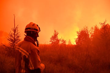 Mega-Waldbrand in NRW: Lage bleibt weiter "unberechenbar" - hilft jetzt das Wetter?