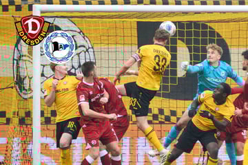 Dynamo gegen Bielefeld live: Daferner macht's! Die SGD führt