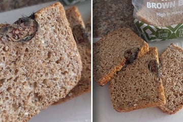 Frau kauft Toastbrot im Supermarkt: Was sie darin findet, ist einfach nur widerlich