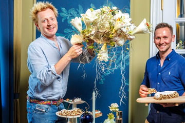 Dresden: Ist schon wieder Weihnachten? Großes Stollen-Shooting mit Windbeuteln und Pralinen