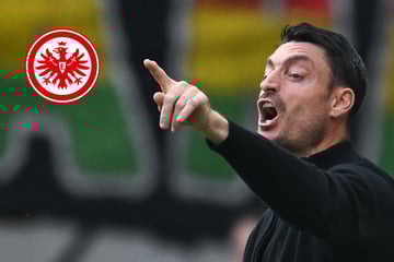 Eintracht in Augsburg: Riera sieht "beste Trainingswoche" und hält an Konzept fest