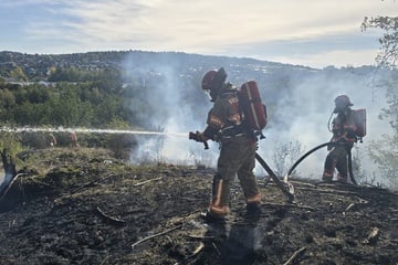 Wieder Waldbrand im Vogtland: Anwohner sollen Türen und Fenster geschlossen halten