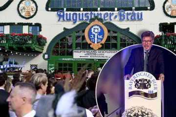 Eintritt auf der Wiesn? Brauerpräsident fordert neue Oktoberfest-Regelung