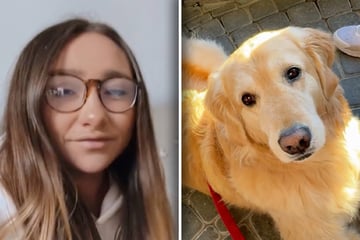 Frauchen freut sich nach Urlaub auf ihren Golden Retriever: Doch seine Reaktion sorgt für Lacher
