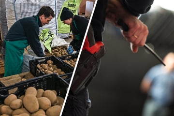 Messerangriff in Gemüsehalle: Streit unter Erntehelferinnen endet blutig