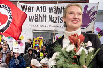 Hunderte fordern bei Ernennung von Alice Weidel vor Parteizentrale "AfD-Verbot jetzt"