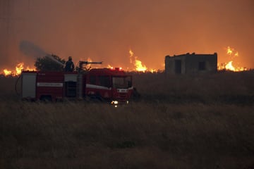 Mann will Tiere vor Flammen retten: Ein Toter bei Waldbrand