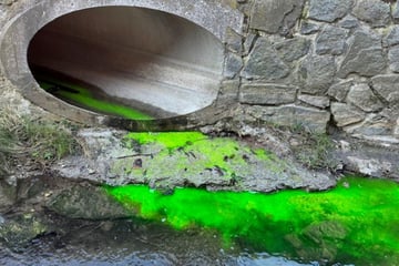 Dresden: Bach plötzlich neongrün: ABC-Einsatz der Feuerwehr Dresden