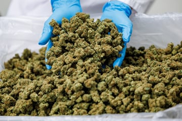 Völlig skurril: 20-Jähriger wiegt Cannabis auf Gemüsewaage im Supermarkt ab