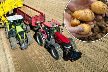 Für weniger mehr zahlen? Hitze-Sommer führt zu Kartoffel-Mangel