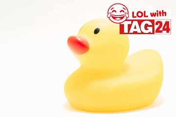 Joke of the Night for August 31, 2025: A duck silly to make you chuckle