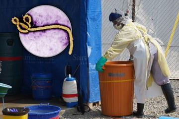Ebola-Virus breitet sich weiter aus: Fast 1000 bestätigte Todesfälle