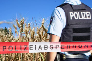 Alarm bei Erntearbeiten wegen Granate aus dem Zweiten Weltkrieg