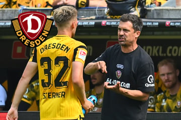 Zu späte Wechsel? So reagiert Dynamo-Chefcoach Stamm auf die Kritik