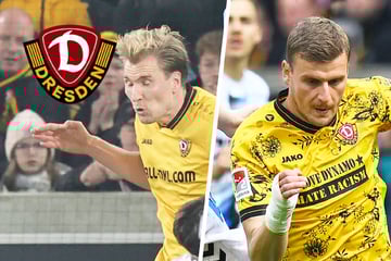 Neues Dynamo-Traumduo Vermeij und Daferner? "Einige Punkte, die besser werden müssen"