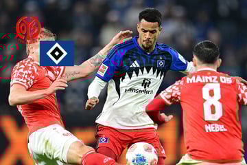 Bleibt der HSV in der Rückrunde weiter ungeschlagen?