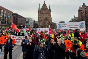 Demo gegen Hafen-Privatisierung: Rund 500 Menschen vor Ort