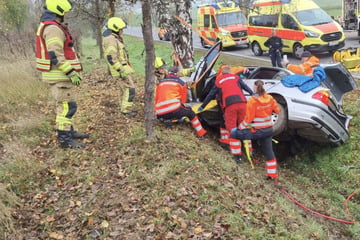 BMW kracht gegen Baum: Medizinischer Notfall wohl der Auslöser